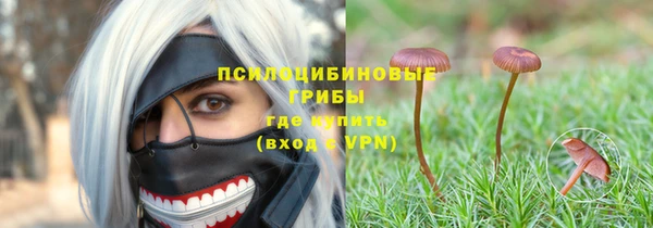 мяу мяу кристалл Няндома