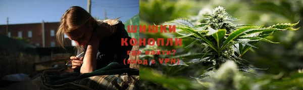 мяу мяу кристалл Няндома