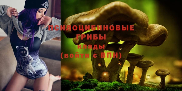 первитин Нязепетровск