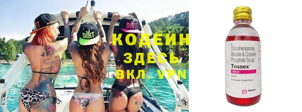 мяу мяу кристалл Няндома